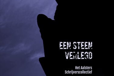 cover 'Een steen verlegd'