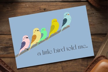 Birds postcard
