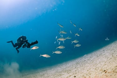 diver using a DPV or underwater scooter
