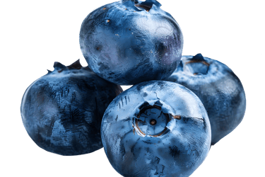 Myrtilles bleuets