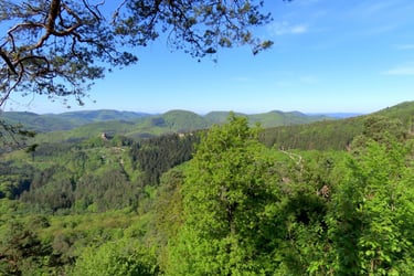 Randonnée 26 avril 2026