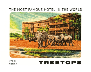 a group of elephants walking through a hotel