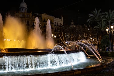 3º Clasificado Color Febrero