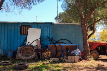 No clasificado 6 Color Febrero