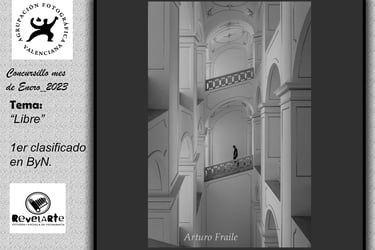Enero - Arturo Fraile