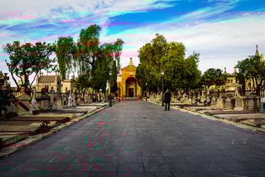 No clasificado 7 Color Febrero