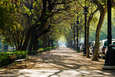 No clasificado 8 Color Febrero