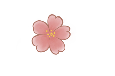 Fleur de cerisier, cherry Blossom, printemps