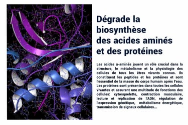 PESTICIDES DEGRADE ACIDES AMINES PROTÉINES