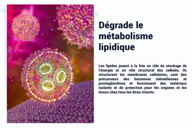 PESTICIDES DEGRADE METABOLIME LIPIDIQUE