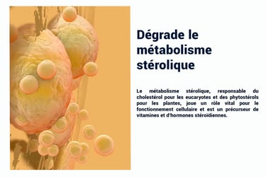 PESTICIDES DEGRADE METABOLIME STÉROLIQUE