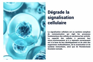 PESTICIDES DEGRADE SIGNALISTION CELLULAIRE