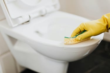 Toilet cleaning