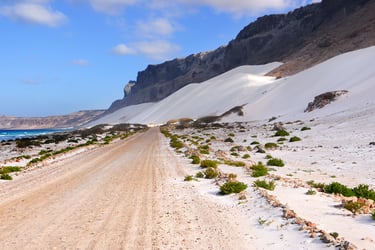 a dirt road with a dirt road and mountains in the background