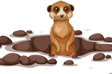 Spiritual Practice of Grounding