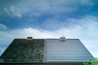 Société de nettoyage et entretien toiture dans le Doubs