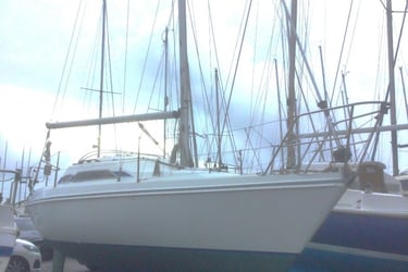 Insurance Renewal yacht survey