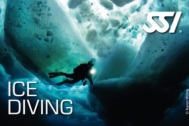 a person in a wetsuit is diving in the water