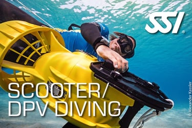 a man in a scuba suit is diving in the water