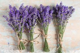 lavender levanda geliu vanduo hidrolatas hidrosol aromatingas patalynes purskalas odai uodai