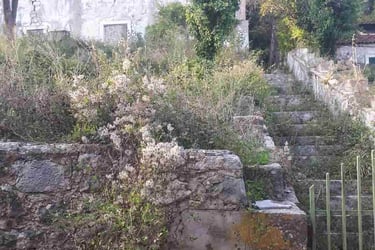 Film still from "Unseen Realities" by Tina Bikic showing an abandoned stone house overgrown with vegetation.