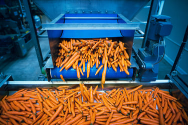 a bunch of carrots being put together in a machine
