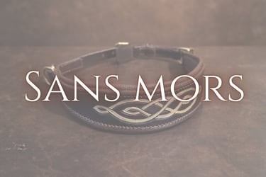 Sans mors cuir sellerie etter Genève artisan sellier harnacheur Suisse