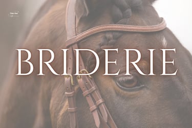 Bridon cuir sellerie etter Genève artisan sellier harnacheur Suisse