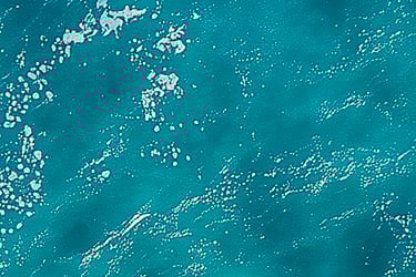 Sea of Andromeda