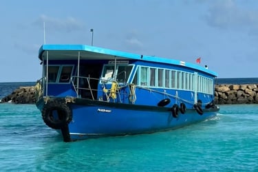 mtcc ferry