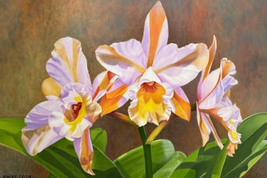 Lavender abd Orange Cattleya