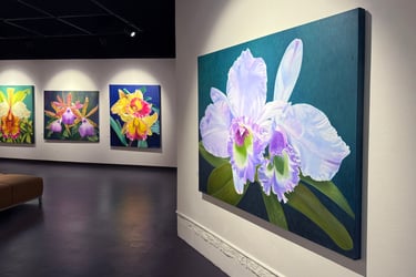 Gallery installation of museum-scale monumental botanical art by Christine Knize 