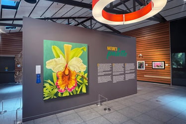 Christine Knize, MFA RISD Naples Botanical Garden, Cattleya Dowiana, NAWA group show, first prize