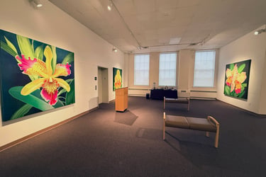 Gallery installation of museum-scale monumental botanical art by Christine Knize 