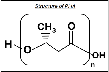 Chemical structure of PHA