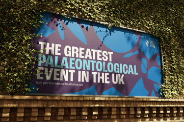 FF Billboard