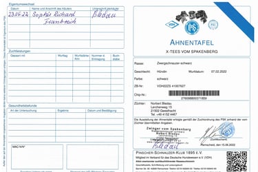 pedigree officiel allemand PSK de notre femelle noire