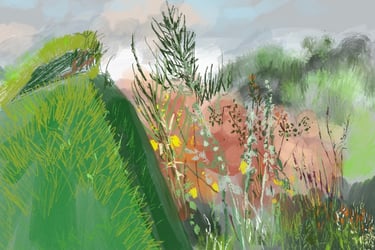 Digital drawing: Great Dixter Peacock Garden high summer