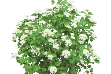 Académie Laé par Pierre Laé : cours particuliers pour enfants et ados, stages toute l'année et ressources pédagogiques