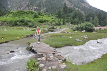 Rakchham Meadow, Sangla,, Himachal Pradesh, India