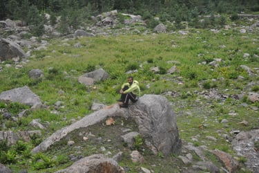 Rakchham Meadow, Sangla,, Himachal Pradesh, India