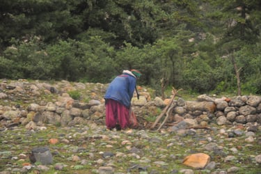 Rakchham Meadow, Sangla,, Himachal Pradesh, India