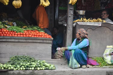 The people and places of Himachal Pradesh, India