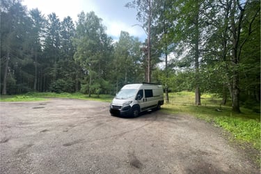 Hiding in the Swedish forest in Surte, Sweden