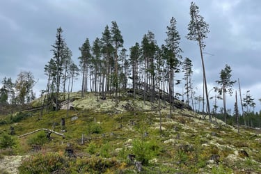 walking in the Norwegian forests walking up Klevarudnatten, Norway