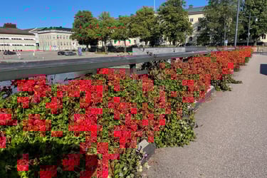 Vanesborg town, Sweden