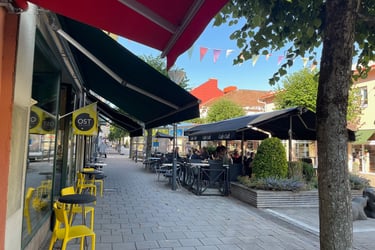 Vanesborg town, Sweden