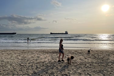 Tracey Billington on the beach at Strand Van Zoutelande, Netherlands