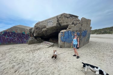 German WW2 defences on the beach at Plage de Zuydcoote, France