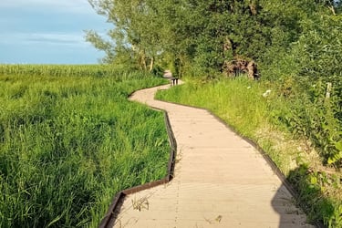 Brancaster Staithe to Brancaster marshside pathway
